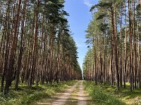 Radtour Oder Ostsee-117